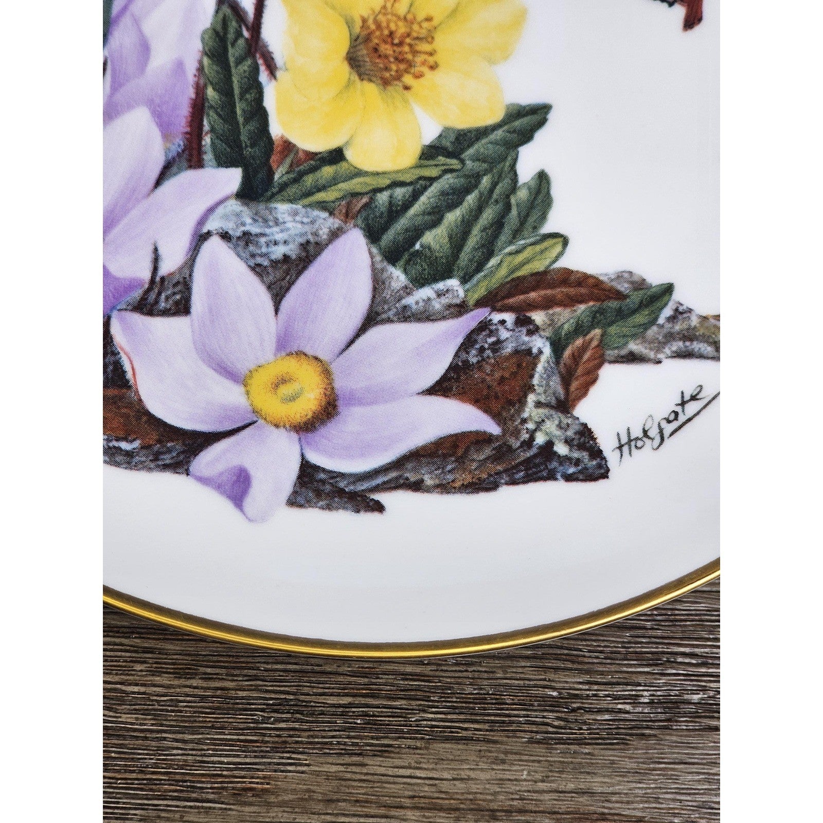 1978 Alaskan Wildflowers Plate Franklin Porcelain Sierra Club