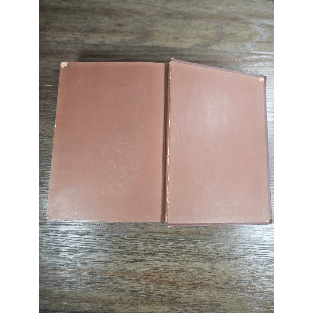 1880 Life of Zachariah Chandler Hardcover Detroit Post Tribune