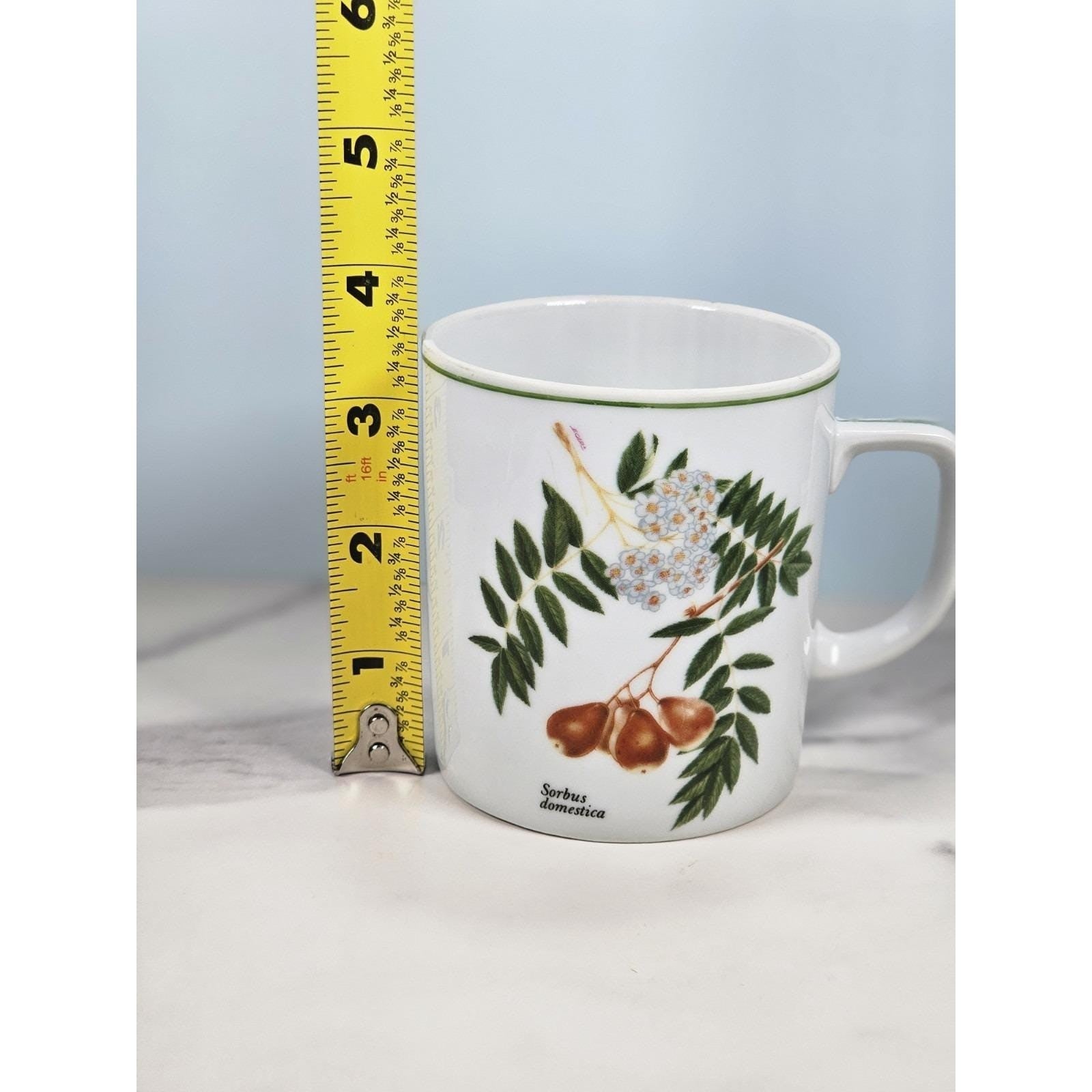 Vintage Lourioux French Porcelain Botanical Mug Sorbus Aucuparia