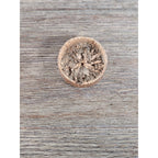 Antique Cork Cylinder Box Primitive Small Lidded Container 3.5"