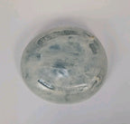 Salt Marsh Pottey Dish Flowering Maple Wall Art