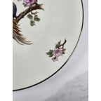 Vintage Heinrich H & C Bird of Paradise Porcelain Plate 7 3/4"
