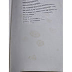 The American Nation John D Hicks 1958 Third Edition Hardcover