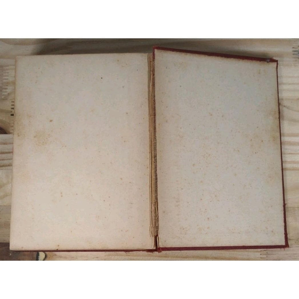 Vintage 1928 Worlds Great Detective Stories One Volume Edition Walter J Black