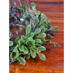 Glass Hurricane Candle Holder with Faux Greenery Ring, 6" Tall Table Decor