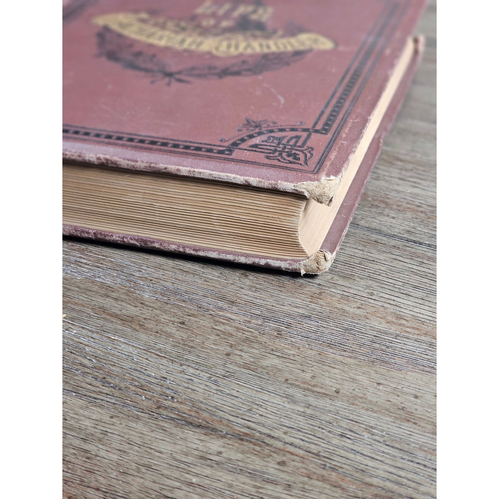 1880 Life of Zachariah Chandler Hardcover Detroit Post Tribune