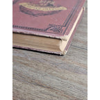 1880 Life of Zachariah Chandler Hardcover Detroit Post Tribune