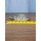 Cast Iron Turtle Decor Tabletop Accent Green Patina Coastal Figurine