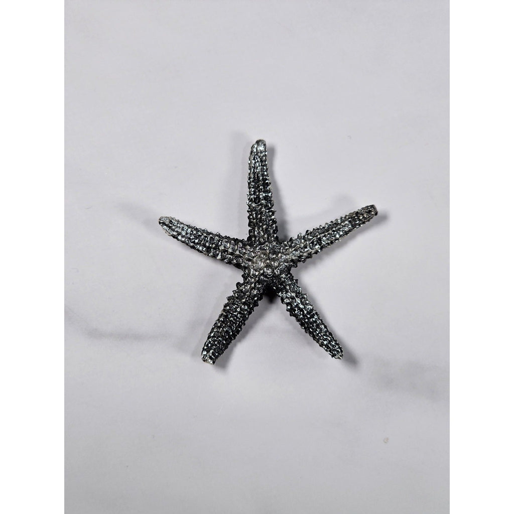 Set of 8 Sea Life Table Decor Sand Dollar Starfish Shell Coastal Decor