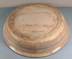 Arcopal Volcano Serving Plate Blue Wheat Design 11.5" Diameter