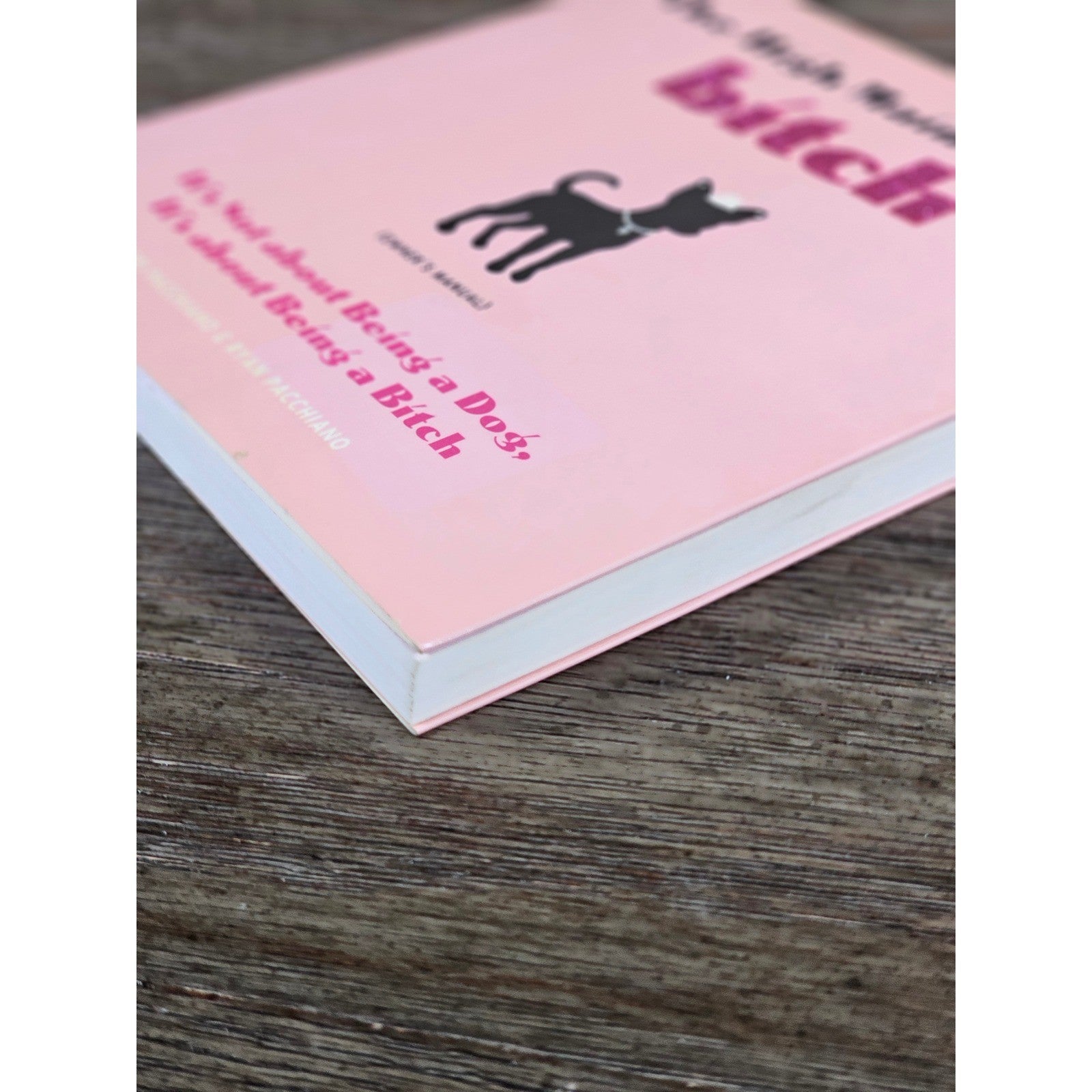 The High Maintenance Btch Owner's Manual Humor Book Gift