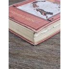 My Dogs in the Northland 1902 Egerton R Young Illustrated Book
