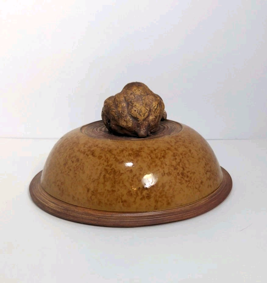 Terrafirma Ellen Evans Pottery 1998 Lid Garlic Brown Glaze Ceramic Covered Bowl