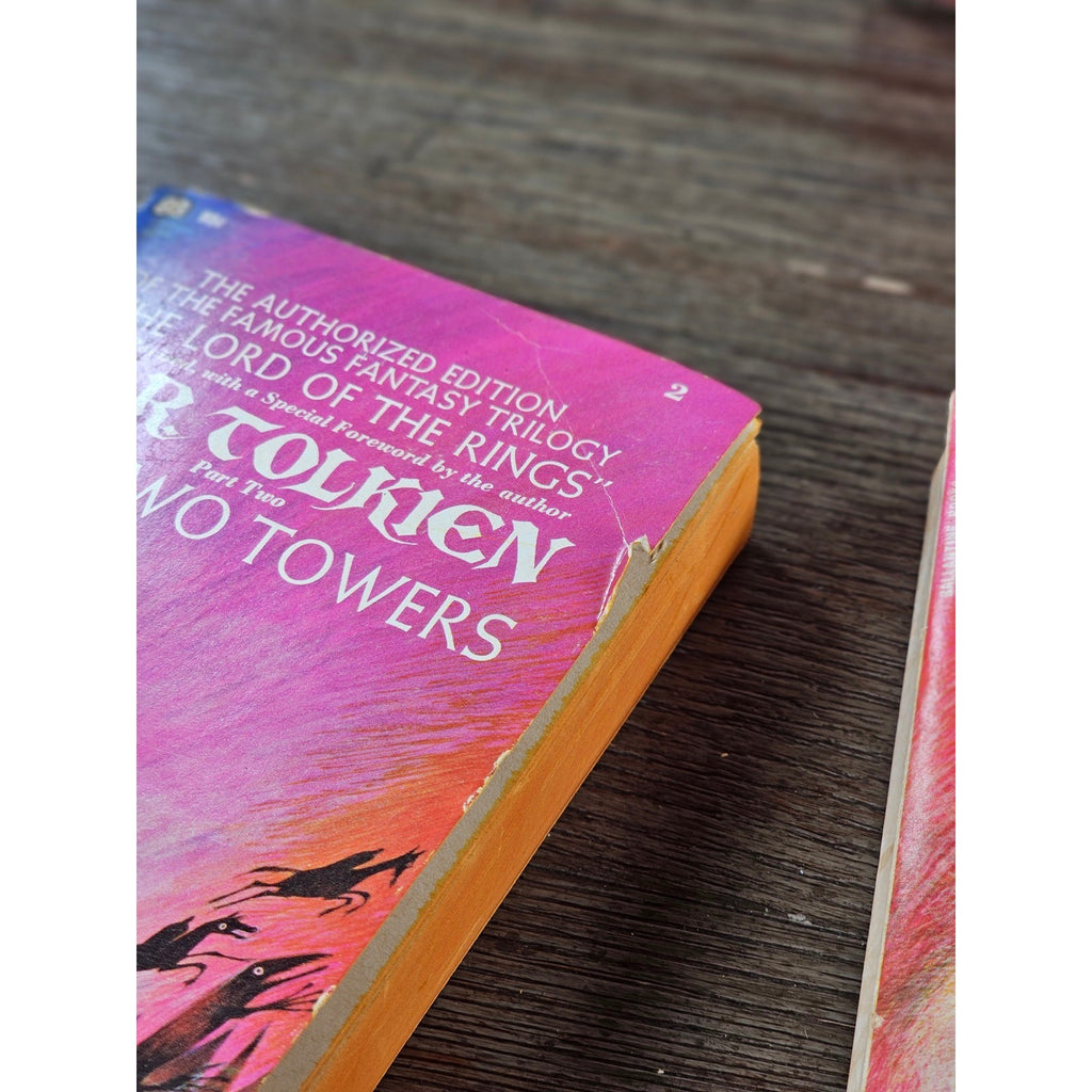 1965 Lord of the Rings Boxed Set Ballantine Paperback Trilogy