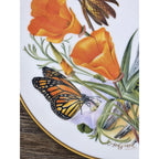 Franklin Mint California Wildflowers Plate 1978 Porcelain