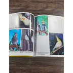 Cockatiels For Dummies by Diane Grindol 2001 Paperback Pet Care