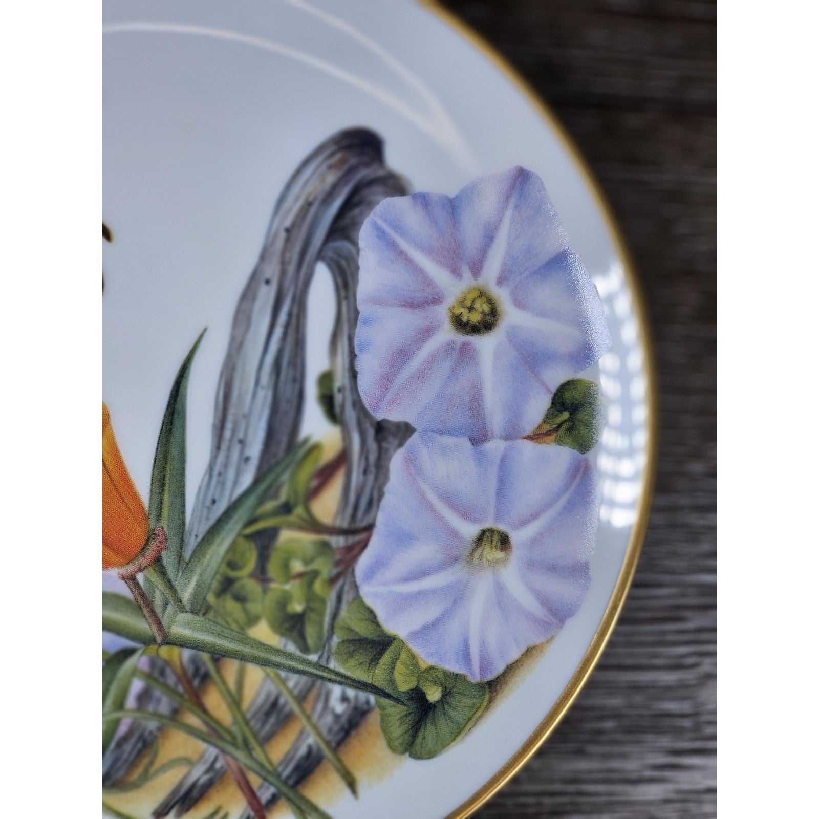 Franklin Mint California Wildflowers Plate 1978 Porcelain