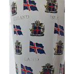 Iceland Porcelain Mug Flags Crests Gold Lettering Souvenir Cup