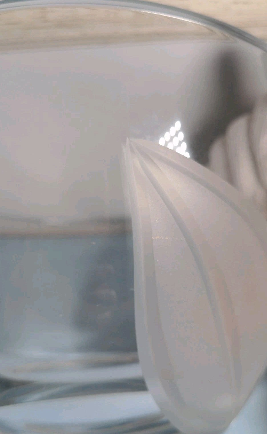 Vintage Crystal Etched Frosted Leaf Vase