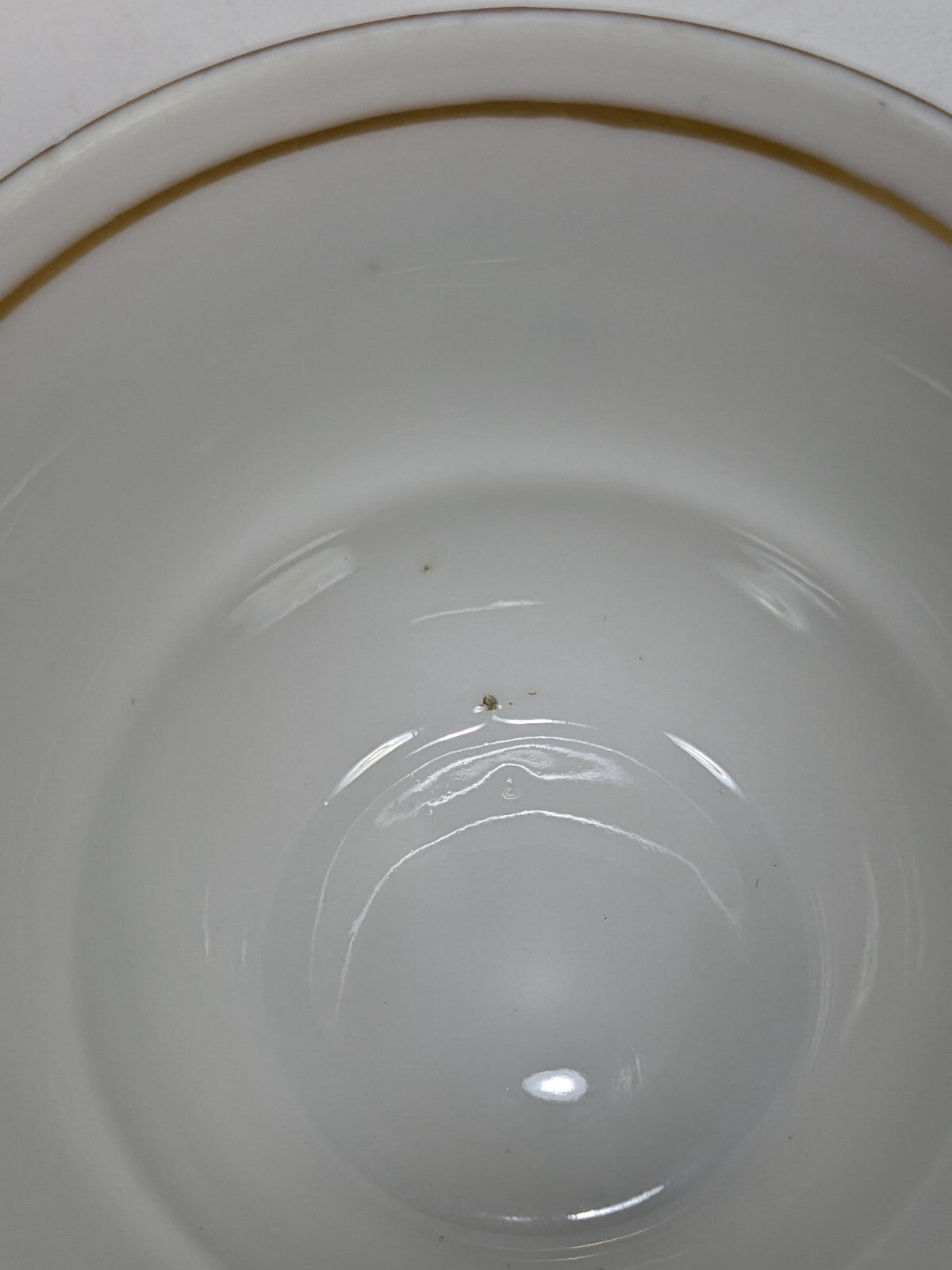 Floral Design Condol Saucer And Tea Cup With Gold Trim