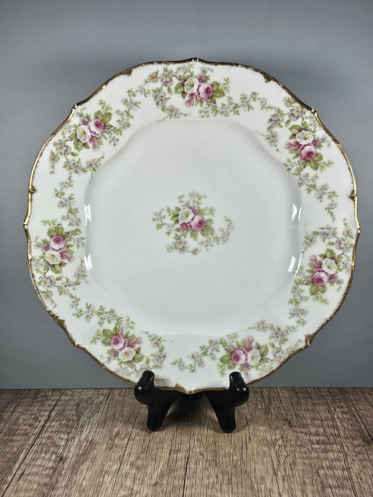 Royal ELITE  Limoges France 9.5" round Plate