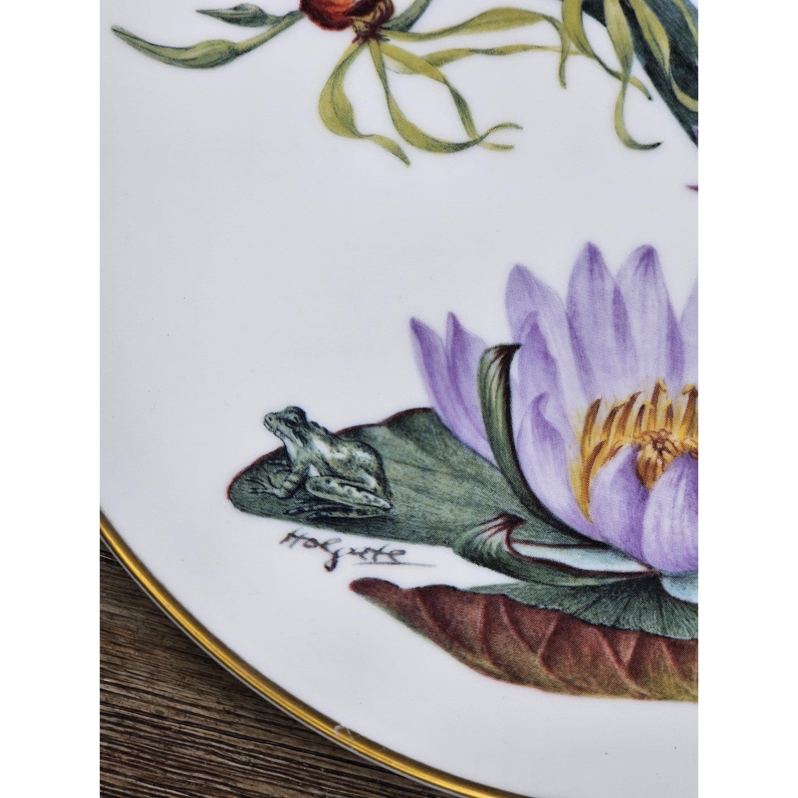 Franklin Mint Florida Everglades Wildflowers Plate 1978