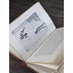 My Dogs in the Northland 1902 Egerton R Young Illustrated Book