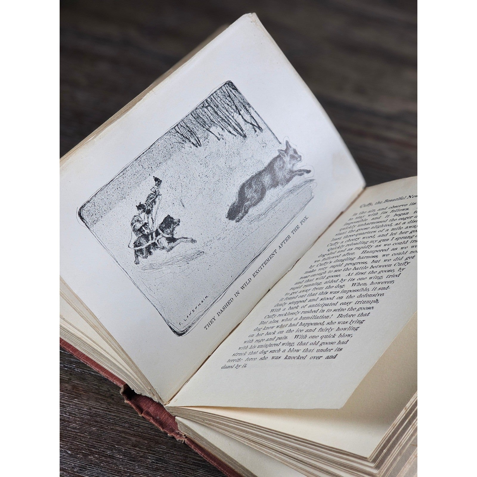 My Dogs in the Northland 1902 Egerton R Young Illustrated Book