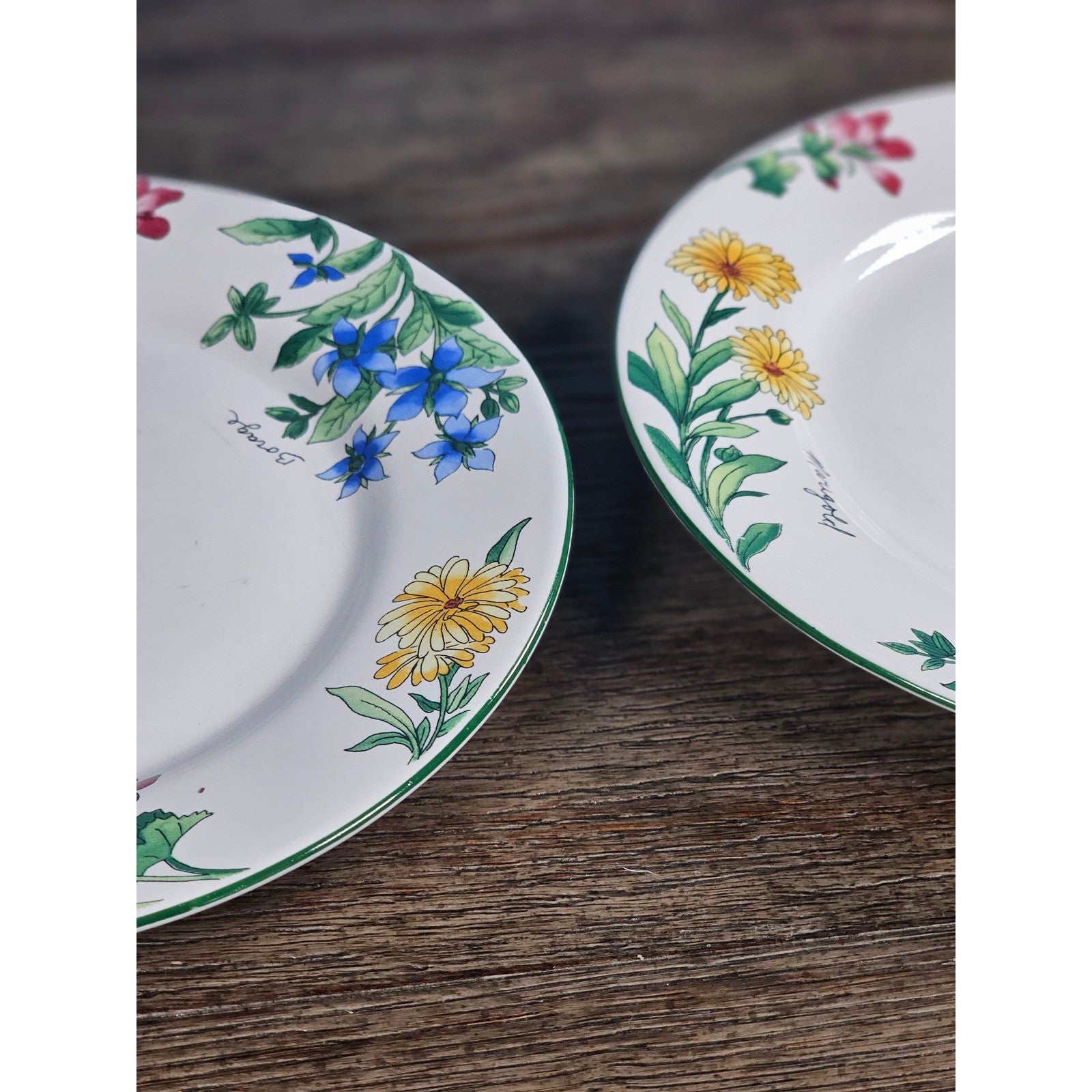 Vintage Majesticware Geranium Dessert Plates Set of 2 Sue Zipkin 8 Inch