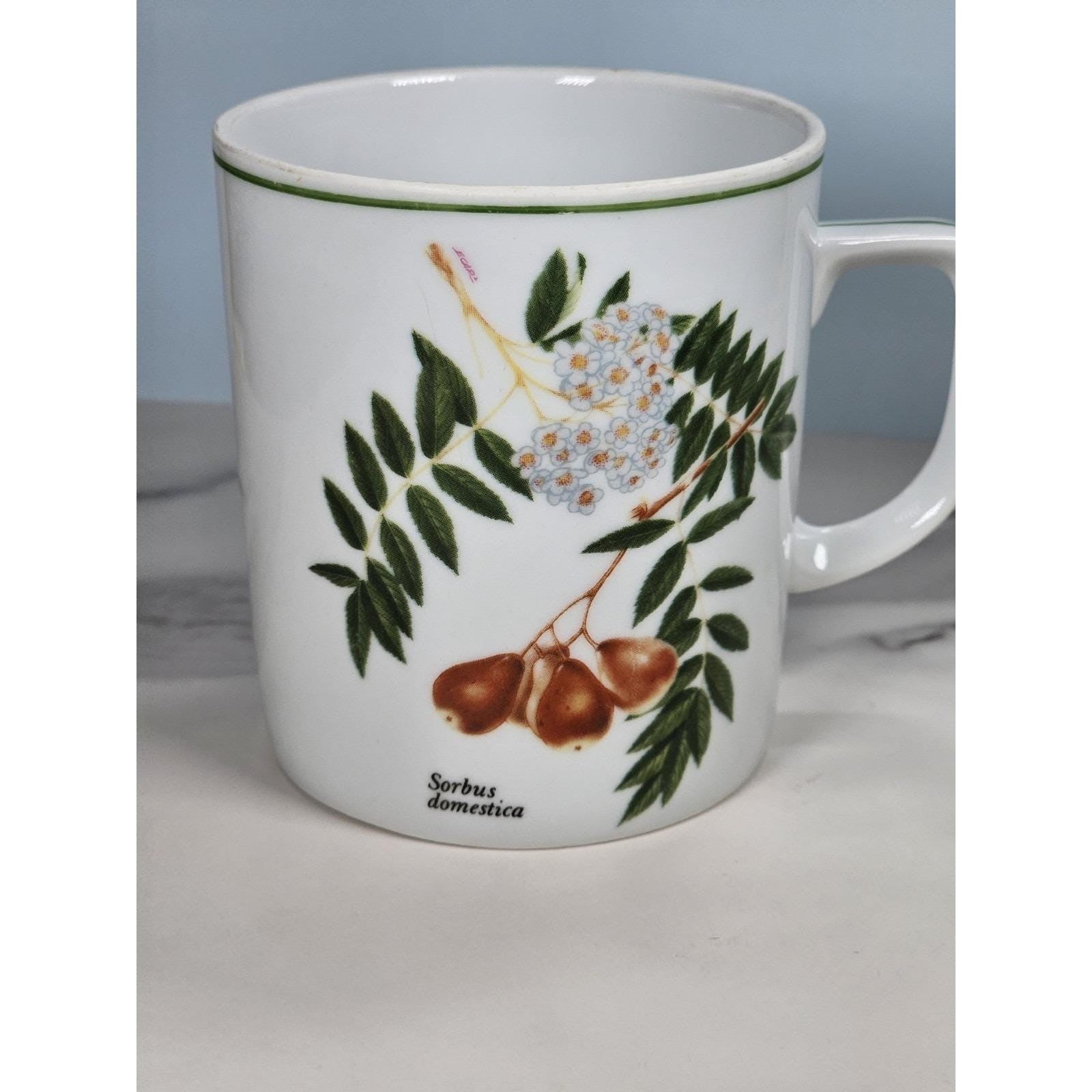 Vintage Lourioux French Porcelain Botanical Mug Sorbus Aucuparia