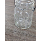 Vintage Atlas E-Z Seal Glass Jar Wire Bail Lid 5x3 Clear Embossed