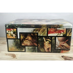 Lebkuchen Schmidt Renoir Tin Box Pierre Auguste Vintage