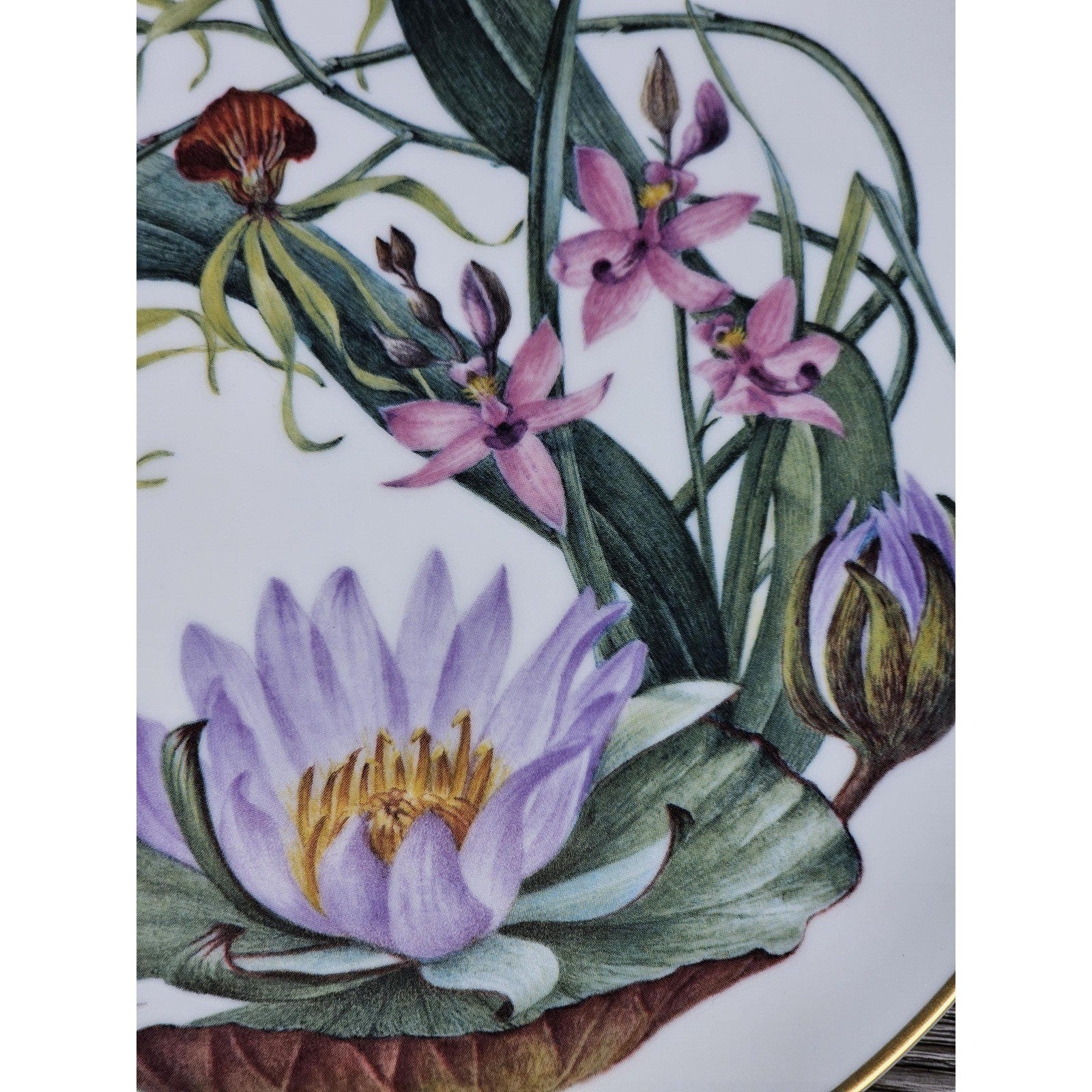 Franklin Mint Florida Everglades Wildflowers Plate 1978